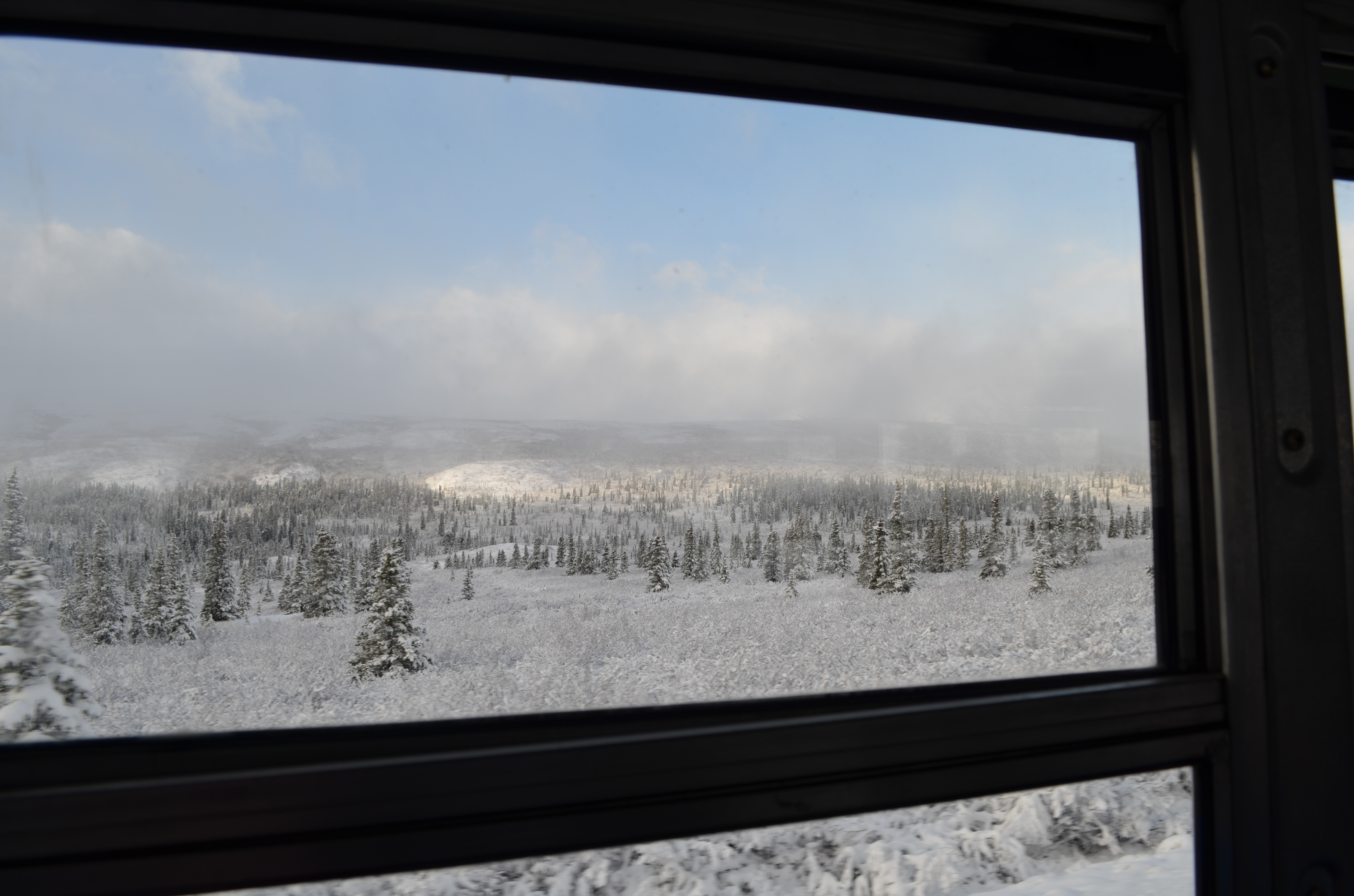 ./2017/08 - Alaska Cruise/03 - Denali/DSC_0206.JPG